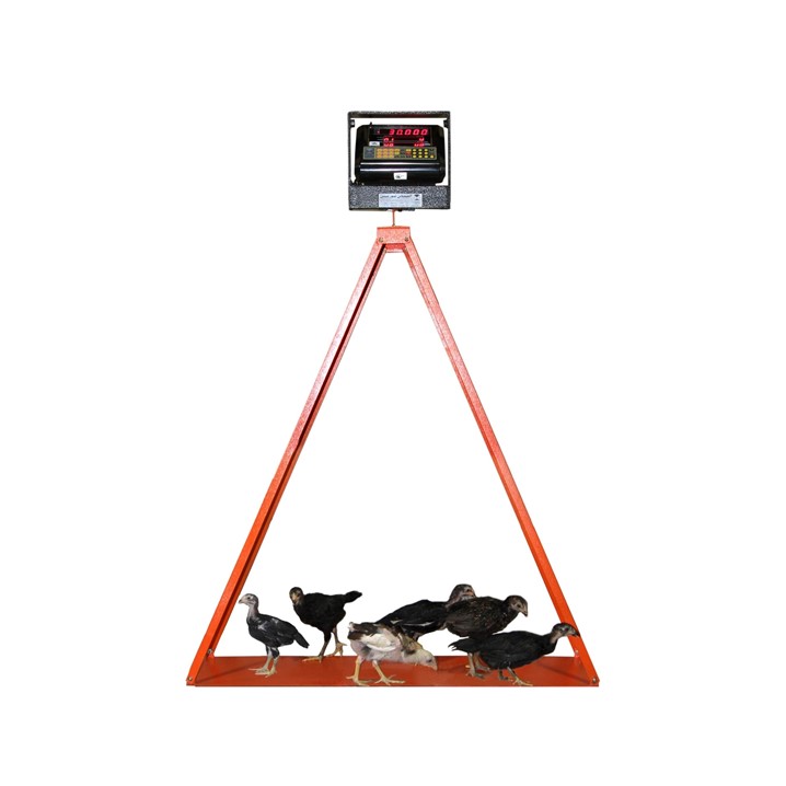 باسکول جوجه کش