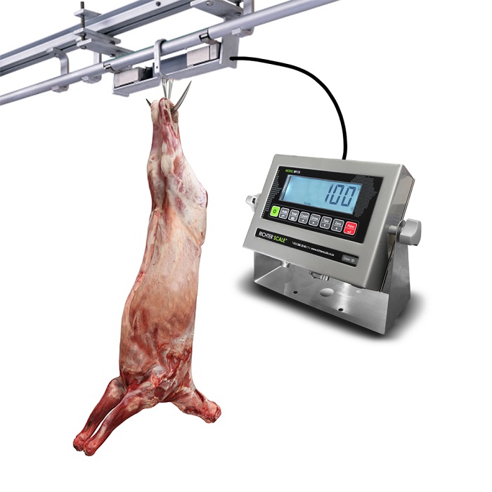 باسکول لاشه کش