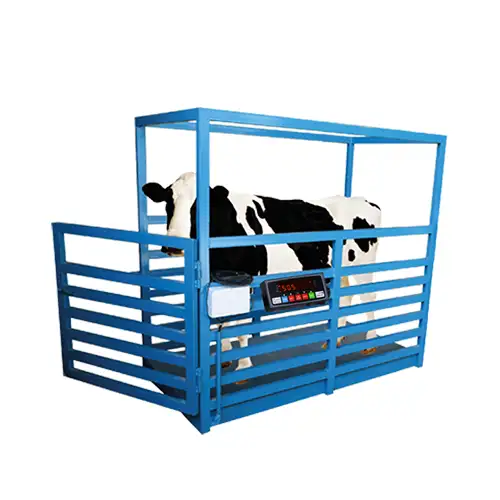 باسکول دام و طیور