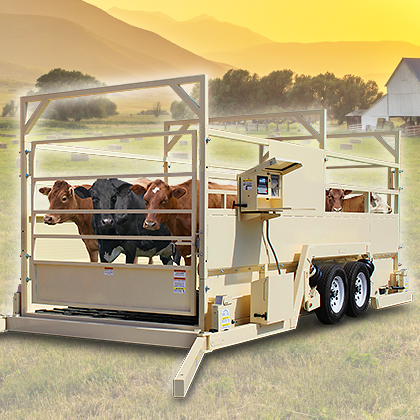 باسکول توزین اسب
