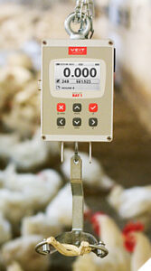 قیمت باسکول جوجه کش