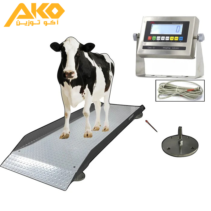 باسکول دامکش چیست